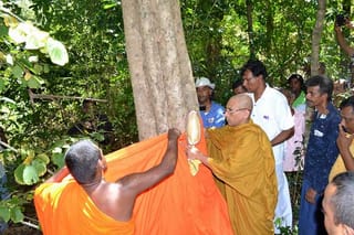 සිවුරු පෙරවූ පඬු­ක­රඳ ගහේ වන්දිය මිලි­යන 980ක් !