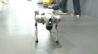 චීන රොබෝ බල්ලකු තමන්ගේ ලෙස පැවසූ ඉන්දියානු සරසවිය AI සමුළුවෙන් ඉවතට