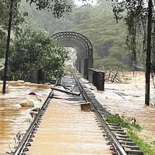 පේරාදෙණිය කළු පාලම අලුත්වැඩියා කටයුතු ආරම්භ වෙයි